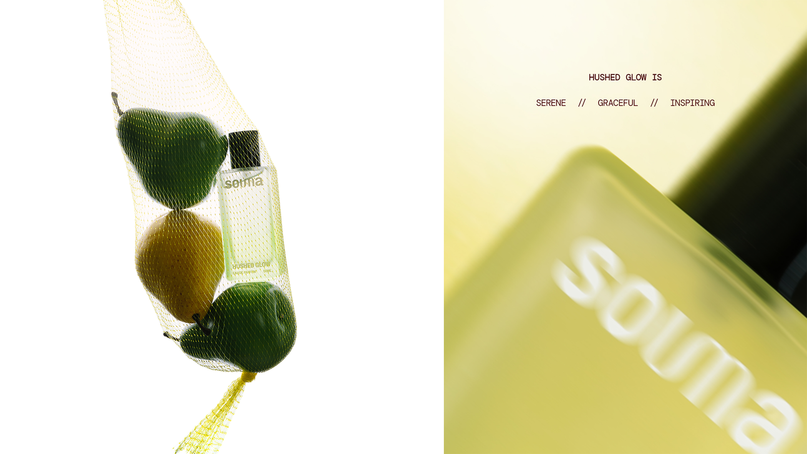 Portfolio Image 2